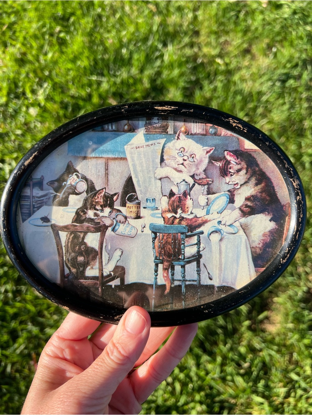 Vintage Cat Family Decorative Oval Plaque - Black Frame
